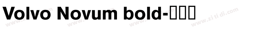 Volvo Novum bold字体转换 Volvo Novum bold字体转换